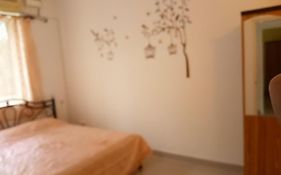Casberly Apartment